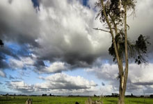 隆鼻老了以后有什么影响,隆鼻子老了之后有副作用吗